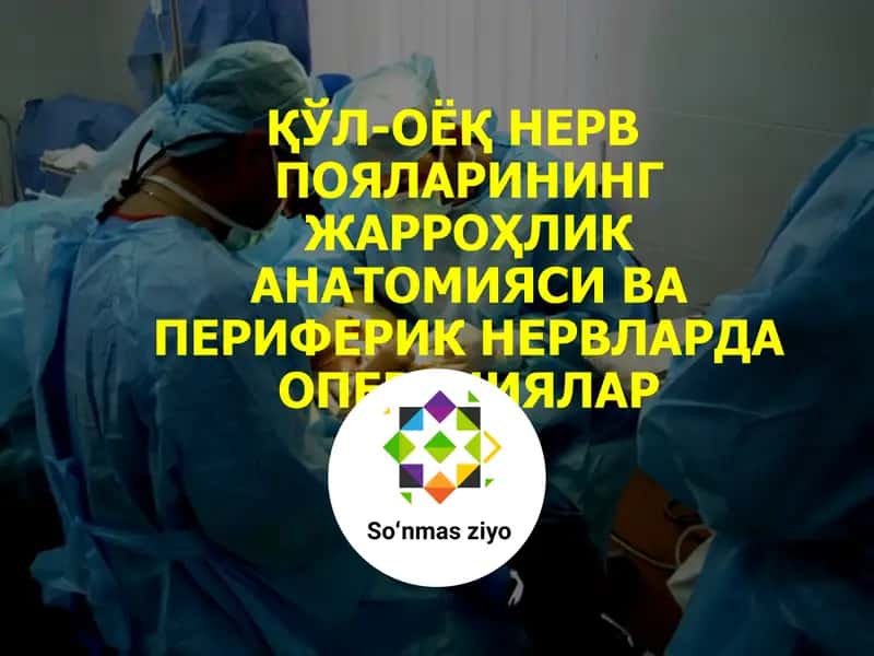 Нерв системаси анатомияси ва операциялар