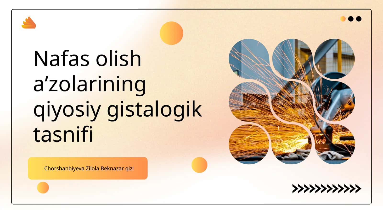 Nafas olish aʼzolarining qiyosiy gistalogik tasnifi