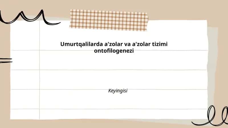 Umurtqalilarda a'zolar va a'zolar tizimi ontofilogenezi