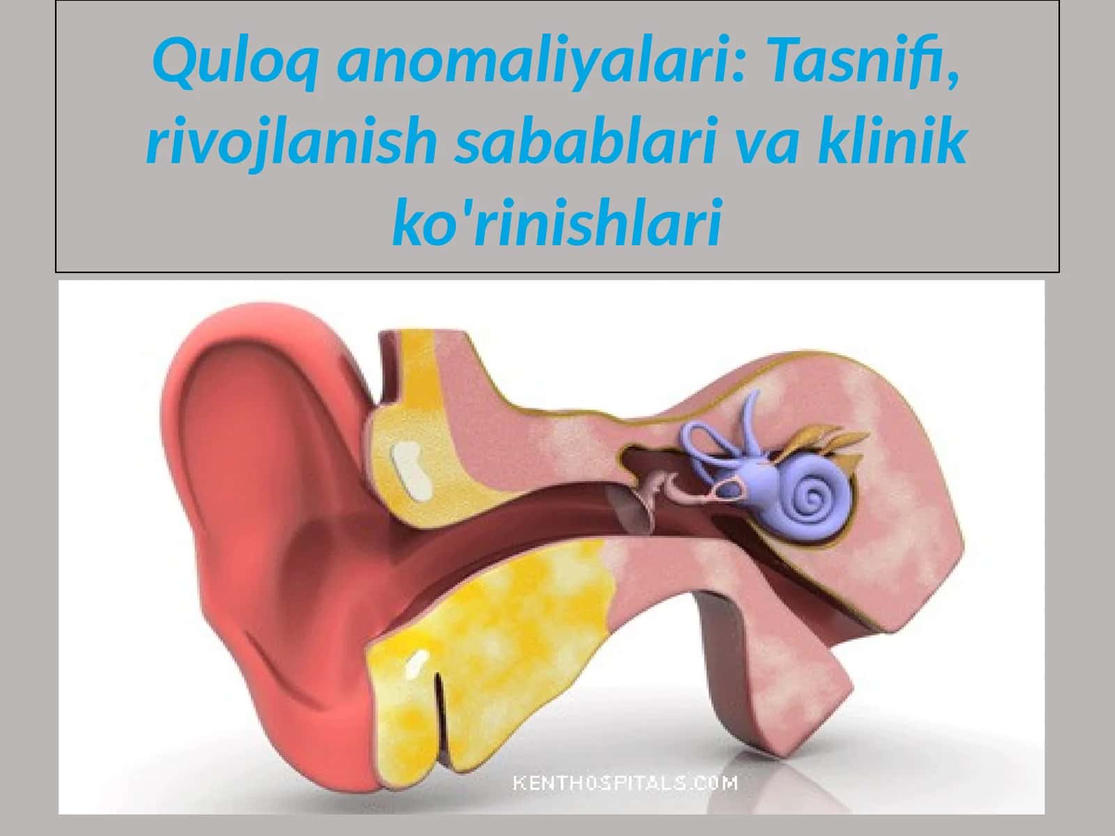 Quloq anomaliyalari: Tasnifi, rivojlanish sabablari va klinik ko'rinishlari