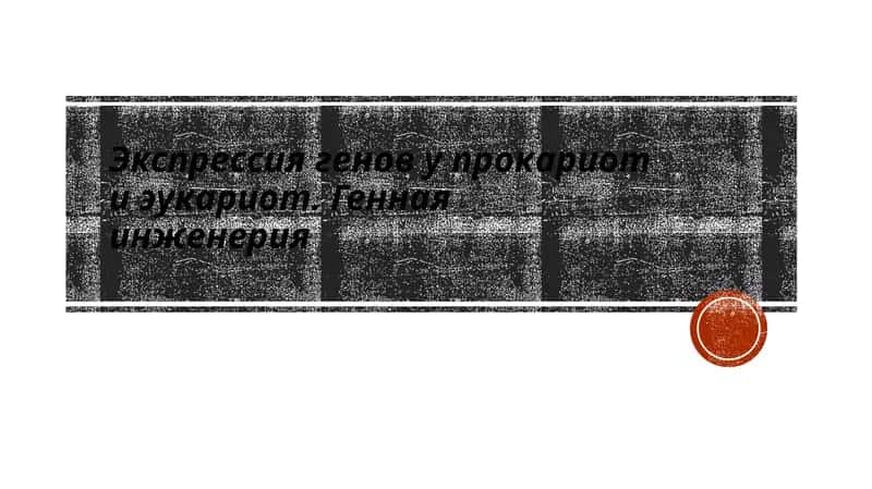 Экспрессия генов у прокариот иэукариот. Геннаяинженерия