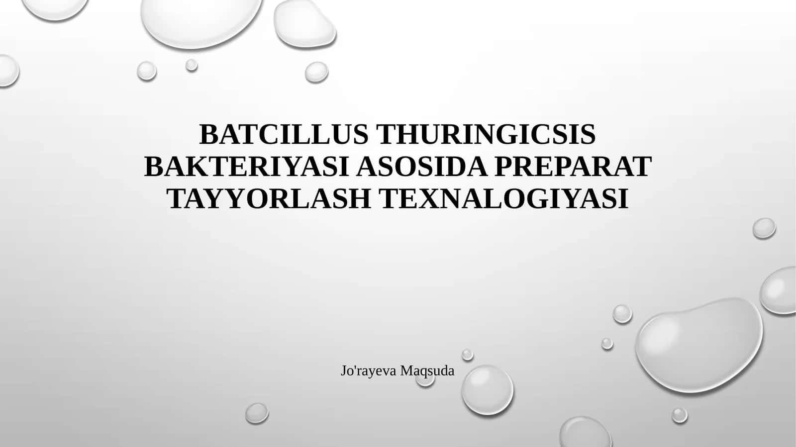 Batcillus thuringicsis bakteriyasi asosida preparat tayyorlash texnalogiyasi