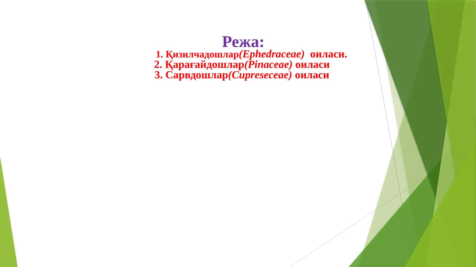 Эфедрадошлар (Ephedraceae) оиласи