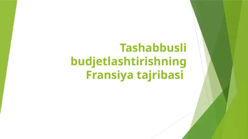 Tashabbusli budjetlashtirishning Fransiya tajribasi