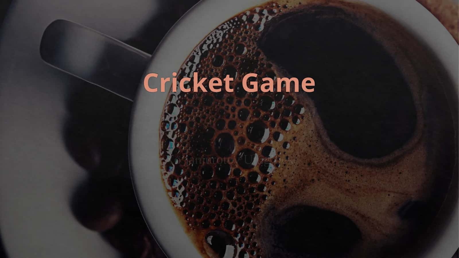Cricket Game