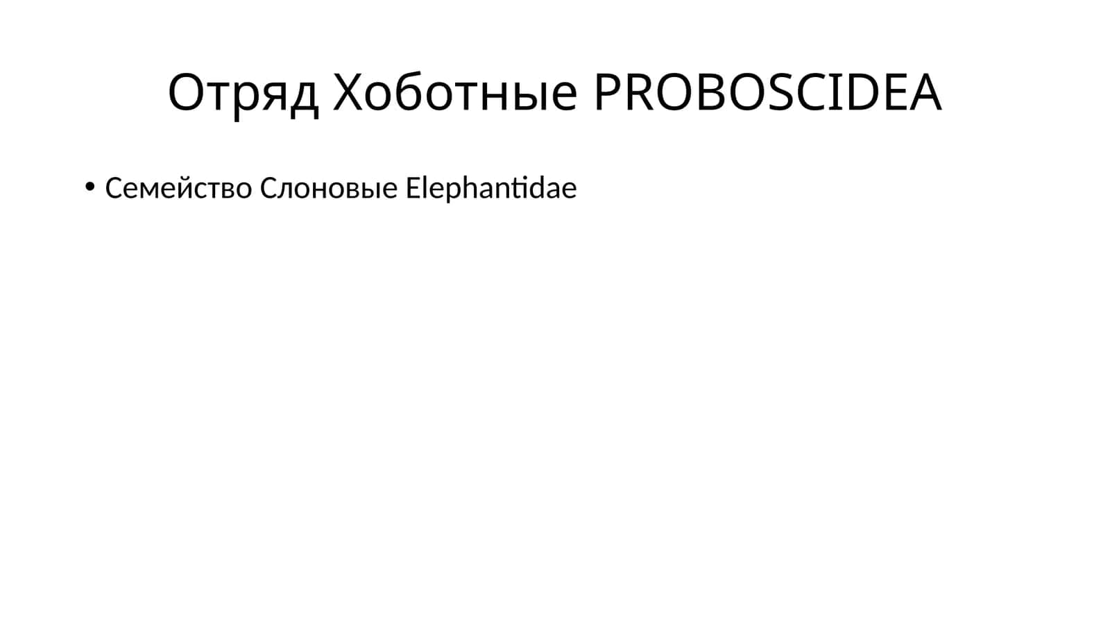 Саванный слон
