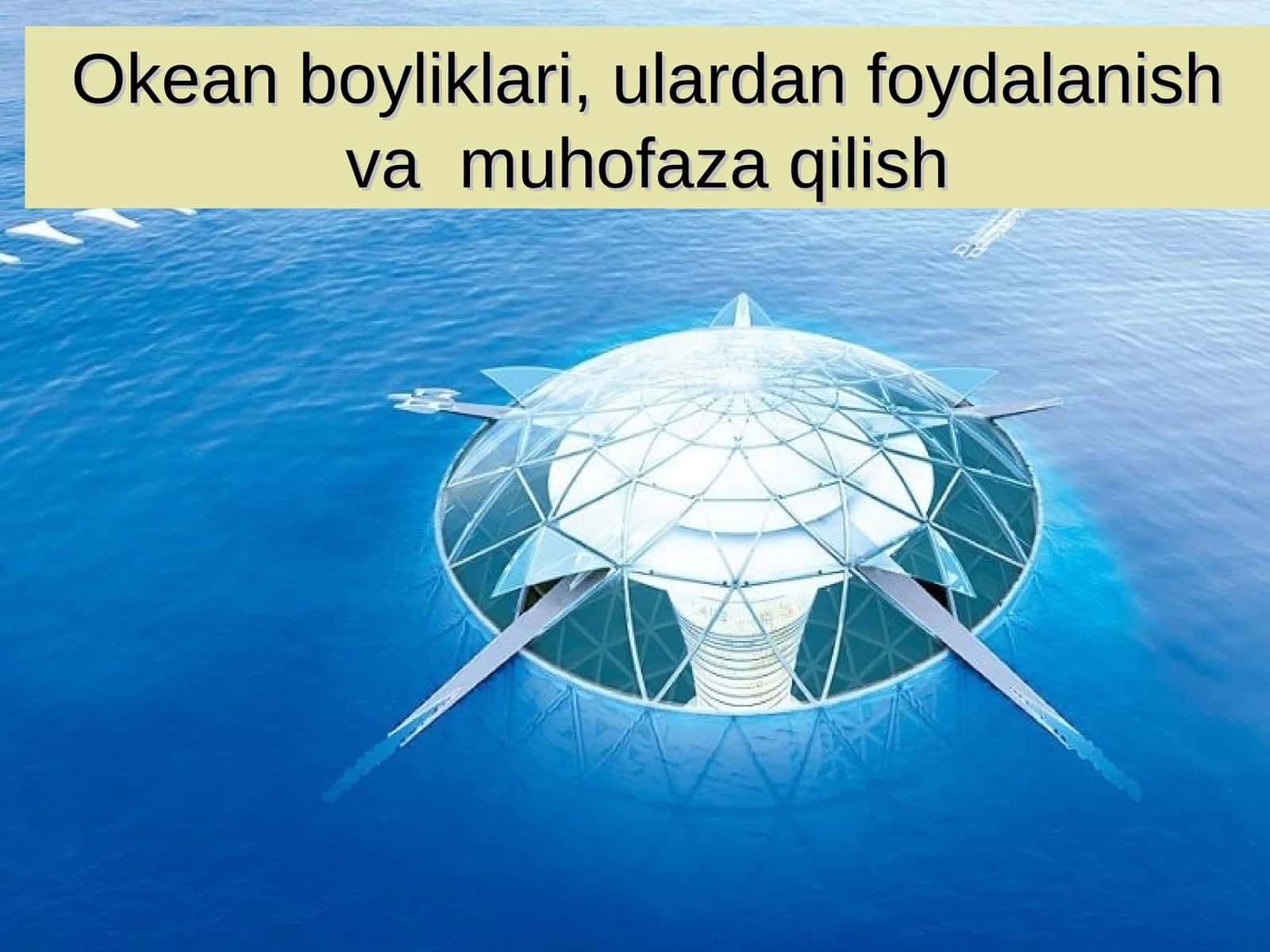 Okean boyliklari, ulardan foydalanish va muhofaza qilish
