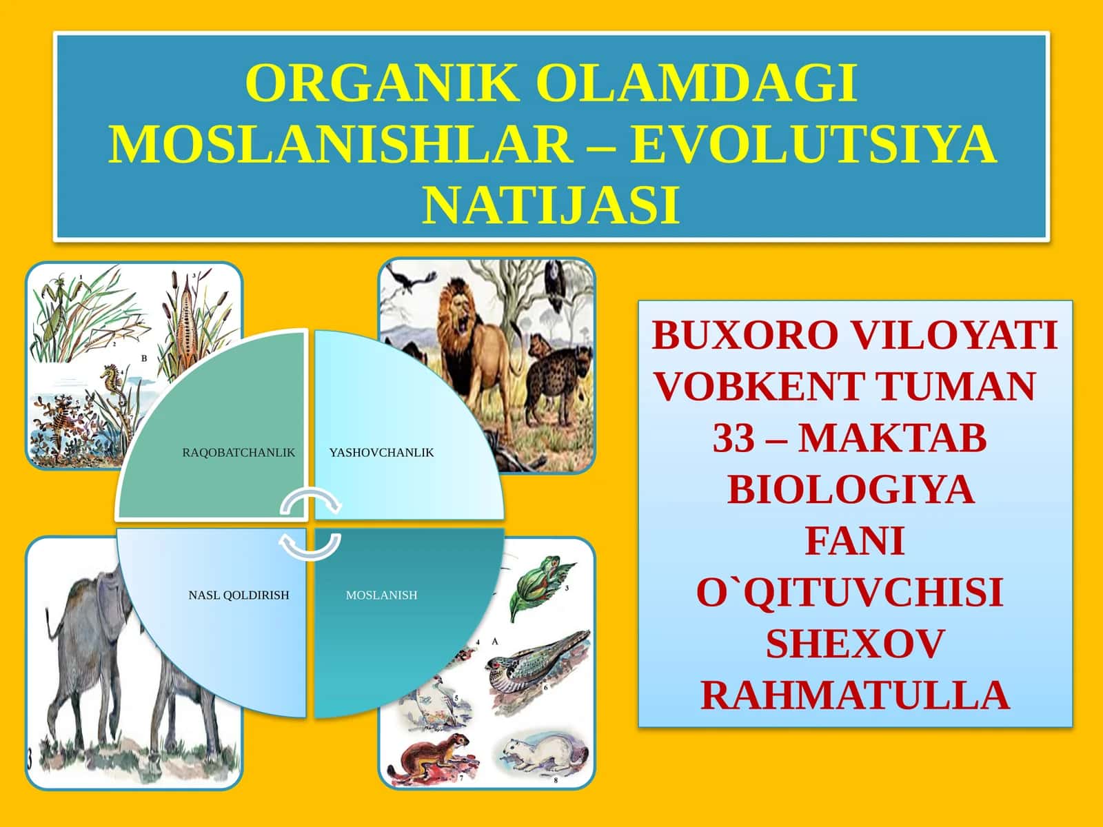 ORGANIK OLAMDA MOSLANISHLAR – EVOLUTSIYA NATIJASI