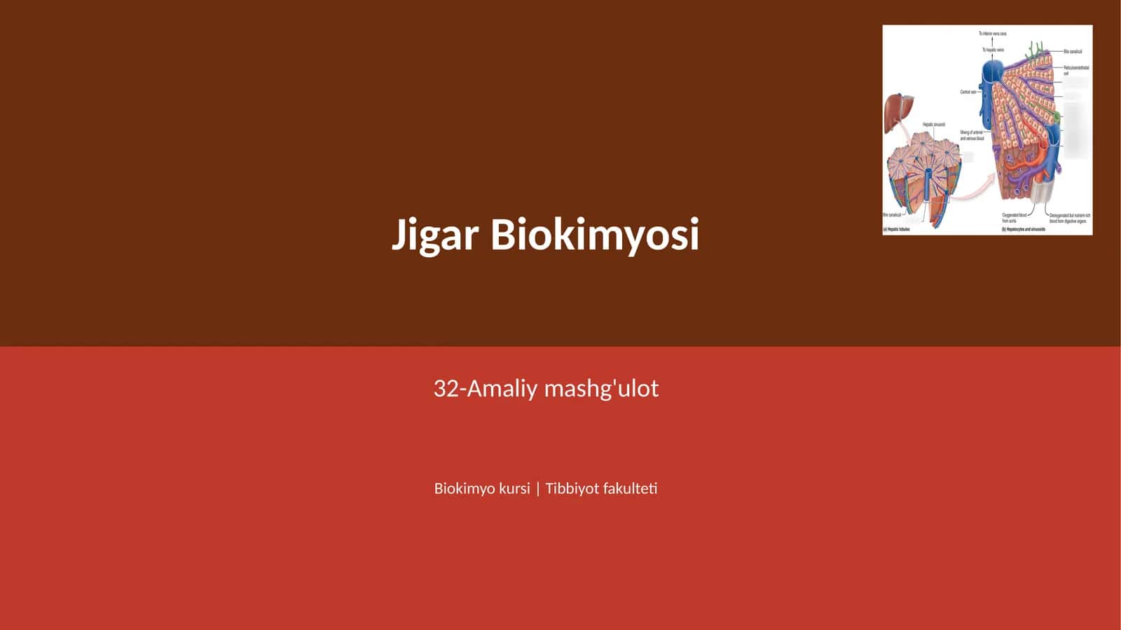 Jigar Biokimyosi