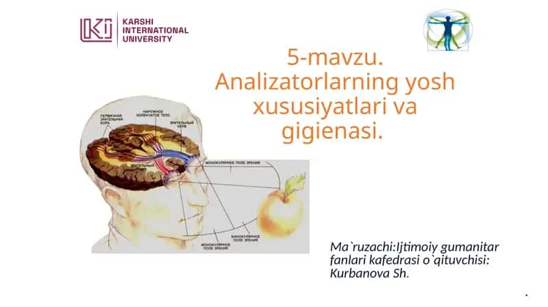 Analizatorlarning yosh xususiyatlari va gigienasi