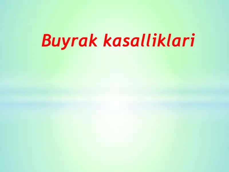 Buyrak kasalliklari
