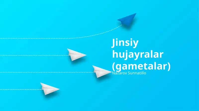 Jinsiy hujayralar (gametalar)