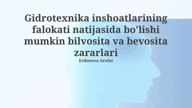 Gidrotexnika Inshoatlarining Falokati Natijasida Bo'lishi Mumkin Bilvosita va Bevosita Zararlari