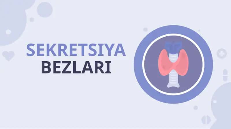 SEKRETSIYA BEZLARI