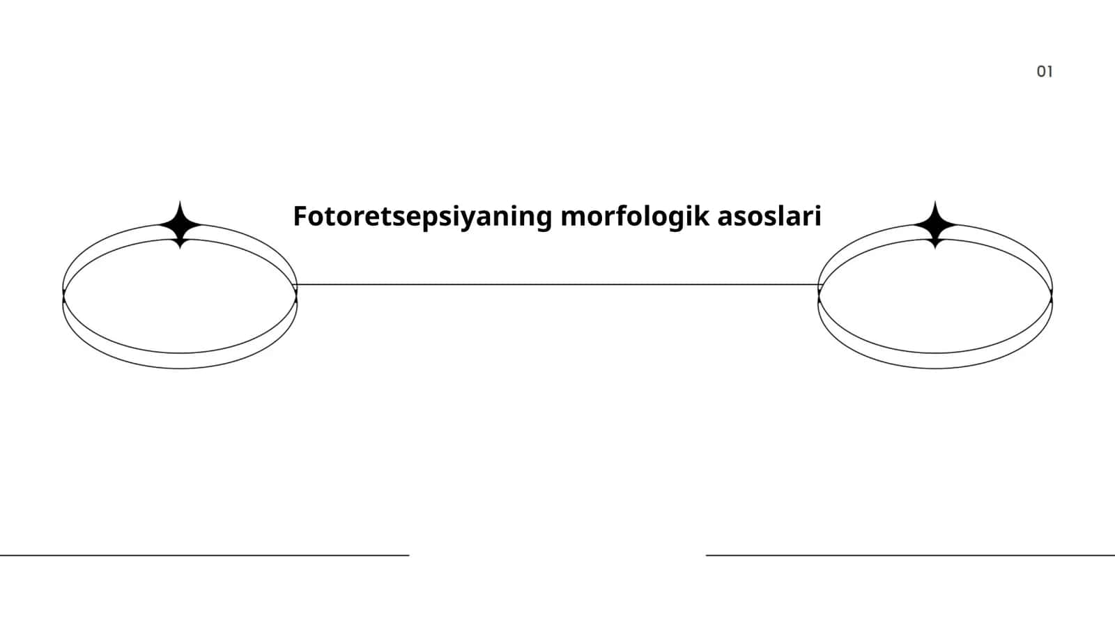 Fotoretsepsiyaning morfologik asoslari