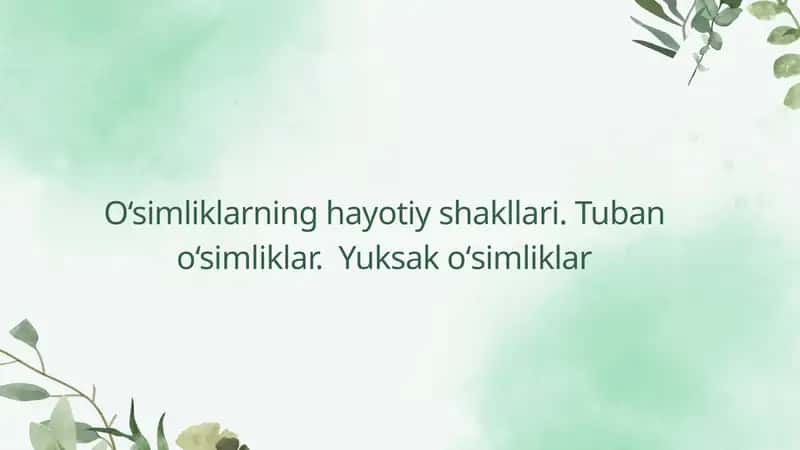 oʻsimliklar