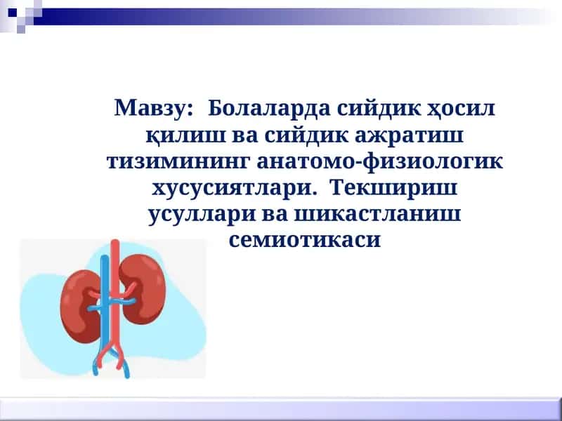 Болаларда сийдик ҳосил қилиш ва сийдик ажратиш тизими