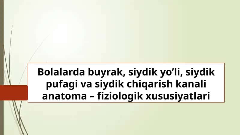 Bolalarda buyrak, siydik yo’li, siydik pufagi va siydik chiqarish kanali anatoma – fiziologik xususiyatlari