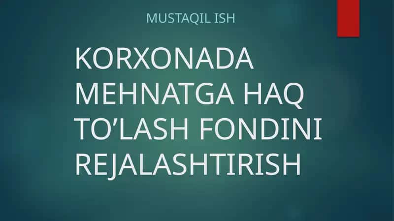 Korxonada mehnatga haq to'lash fondini rejalashtirish, Mustaqil ish reja