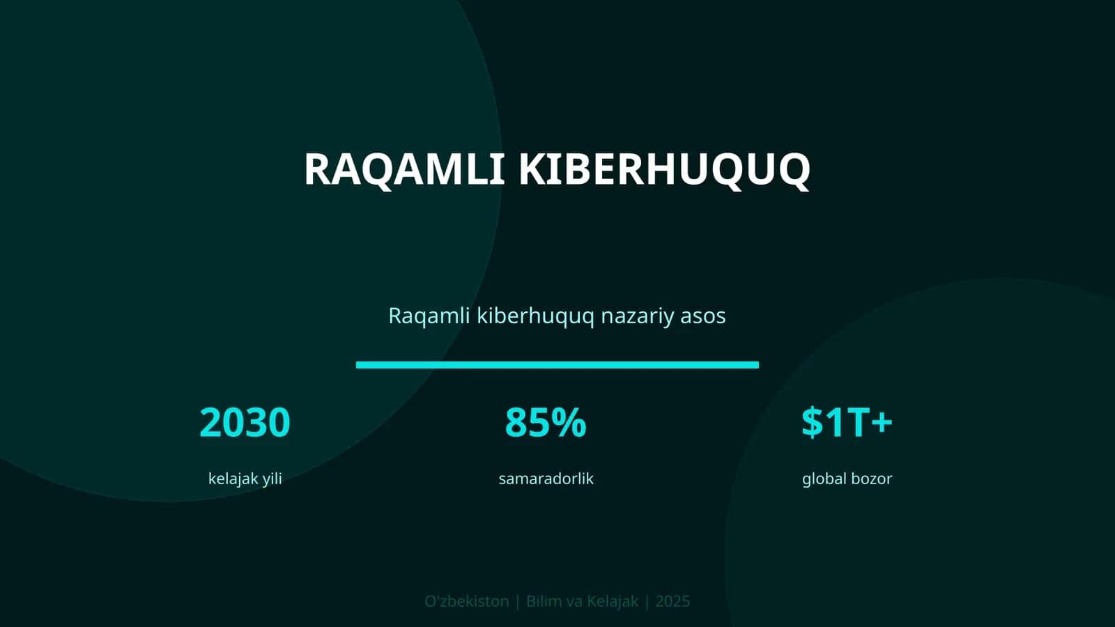 Raqamli kiberhuquq