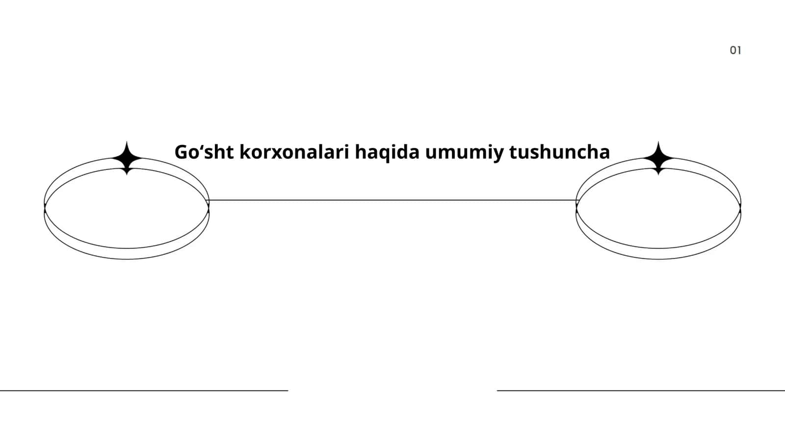 Go'sht korxonalari haqida umumiy tushuncha