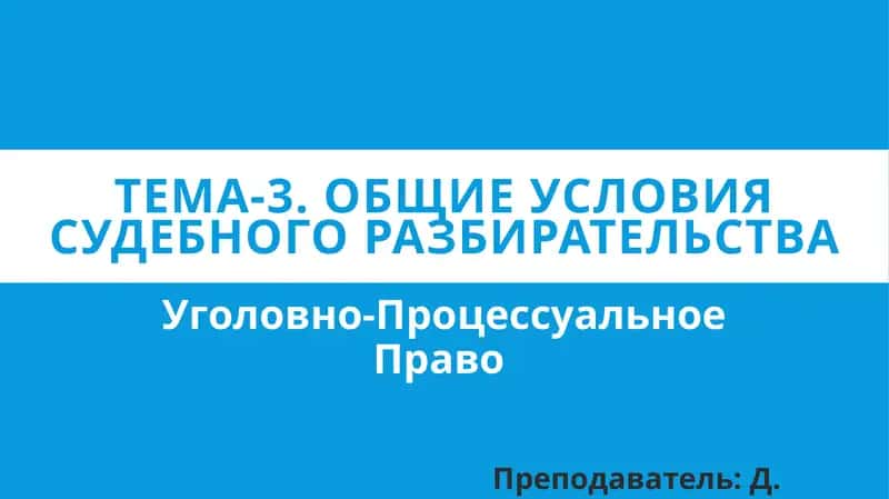 Общие условия судебного разбирательства