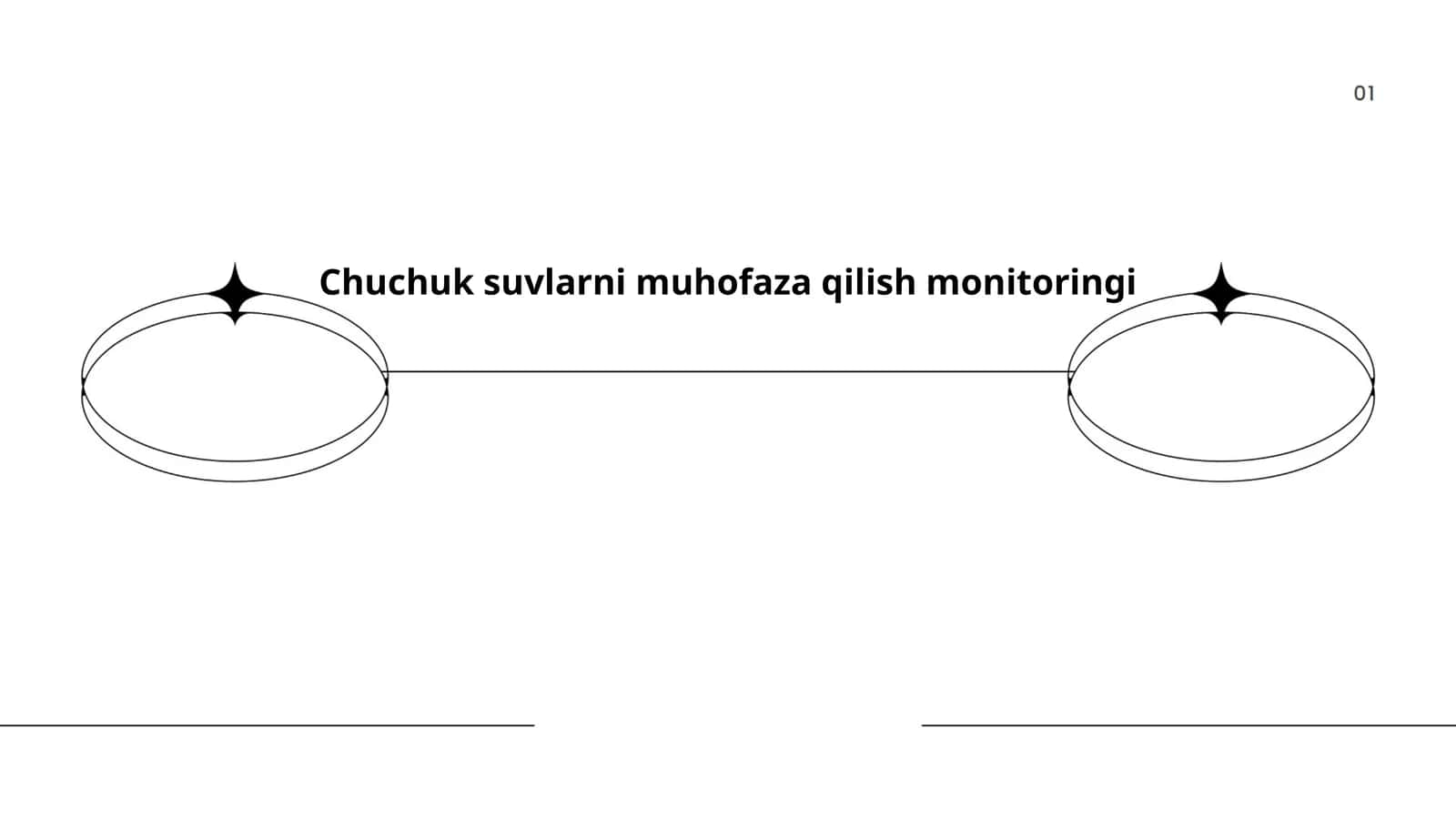 Chuchuk suvlarni muhofaza qilish monitoringi