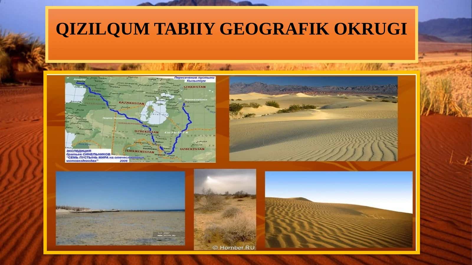 QIZILQUM TABIIY GEOGRAFIK OKRUGI