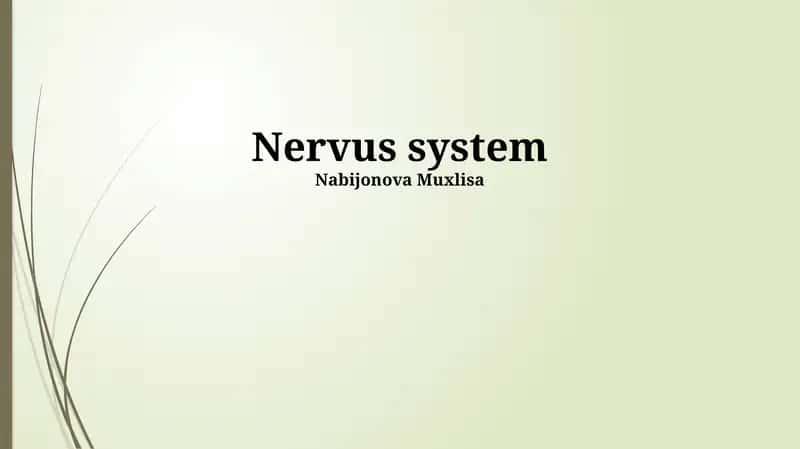 Nervus system