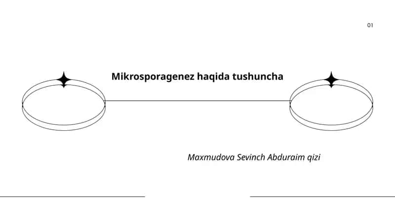 Mikrosporagenez haqida tushuncha