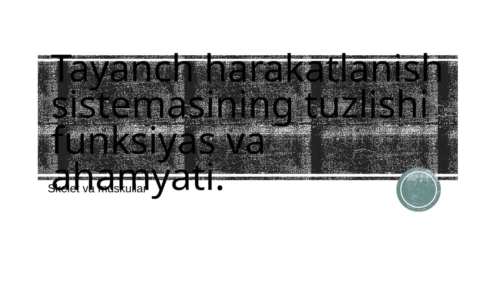 Tayanch harakatlanish sistemasining tuzilishi, funksiyasi va ahamiyati