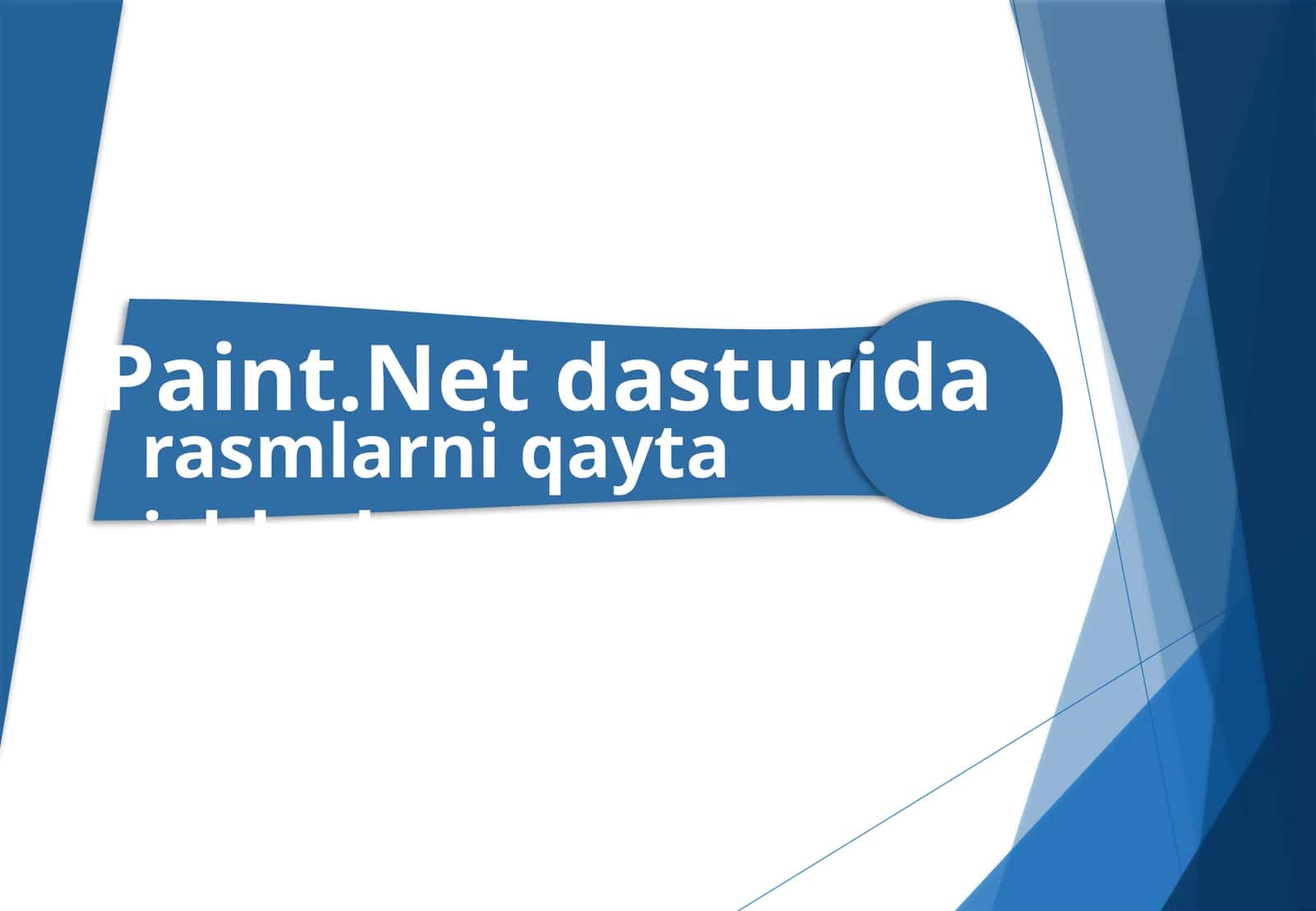 Paint.Netdasturida