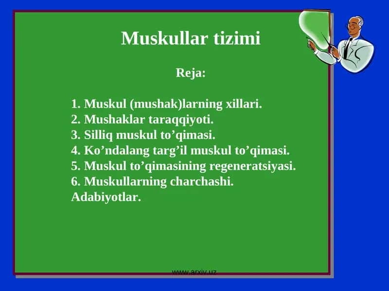 Muskullar tizimi