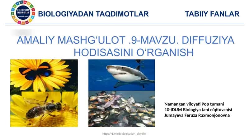 Gastroenterologiya sikli uchun ishlatiladigan dorilar toplami va dozalari
