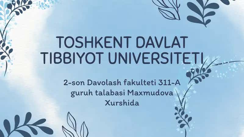 DINAMIK QATORLAR VA ULARNING O‘RGANILAYOTGAN HODISALARGA BAHO BERISHDAGI AHAMIYATI