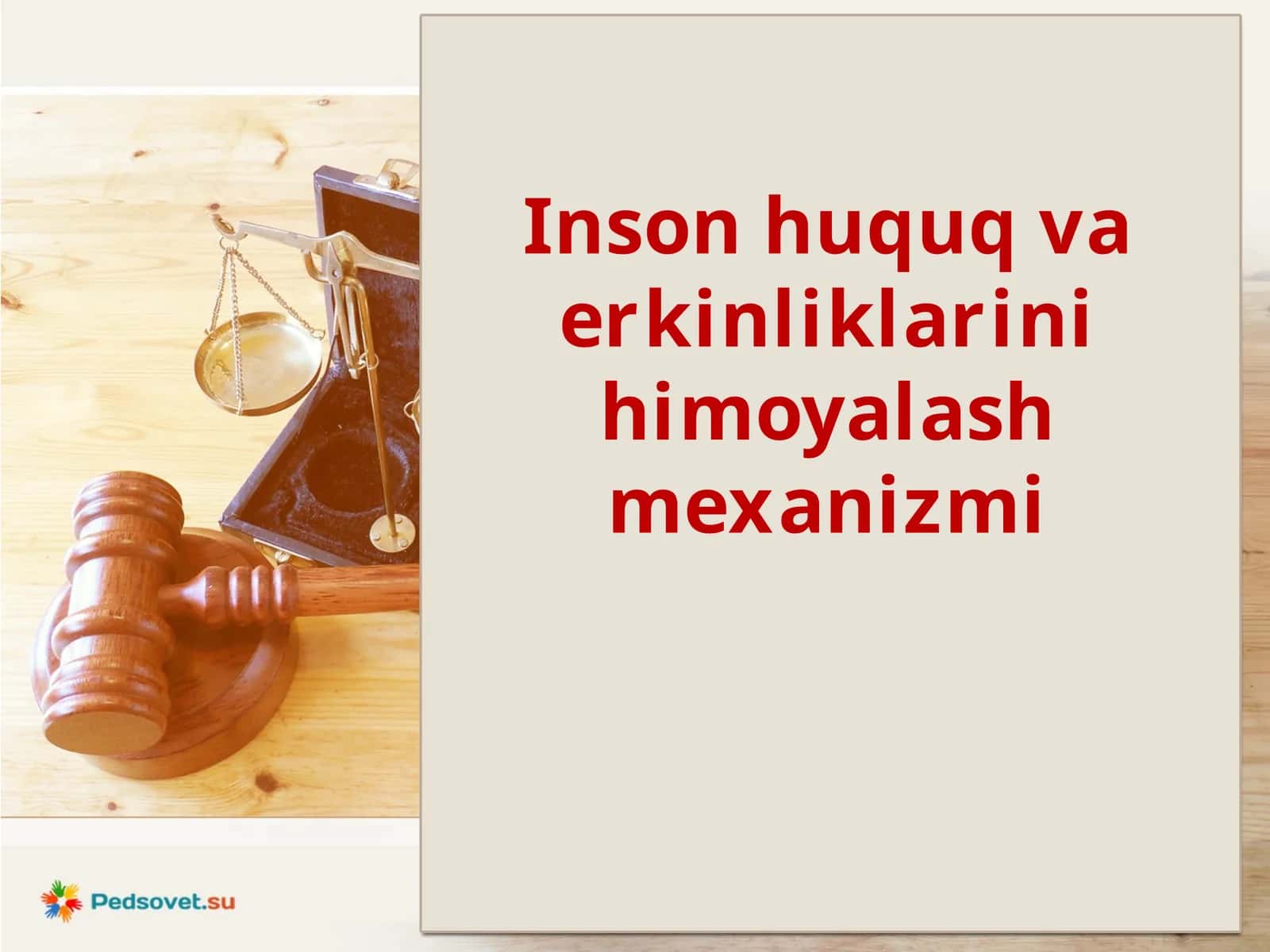 Inson huquq va erkinliklarini himoyalash mexanizmi