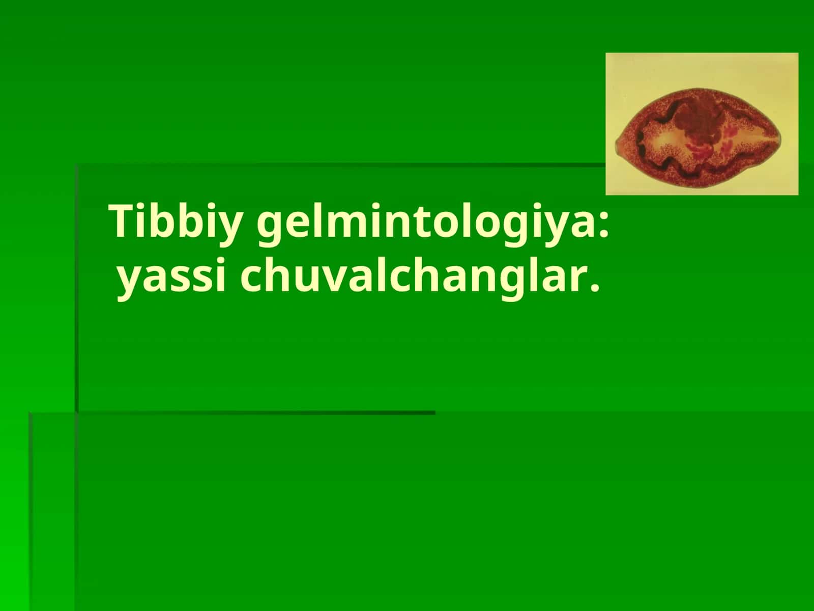 Tibbiy gelmintologiya:yassi chuvalchanglar