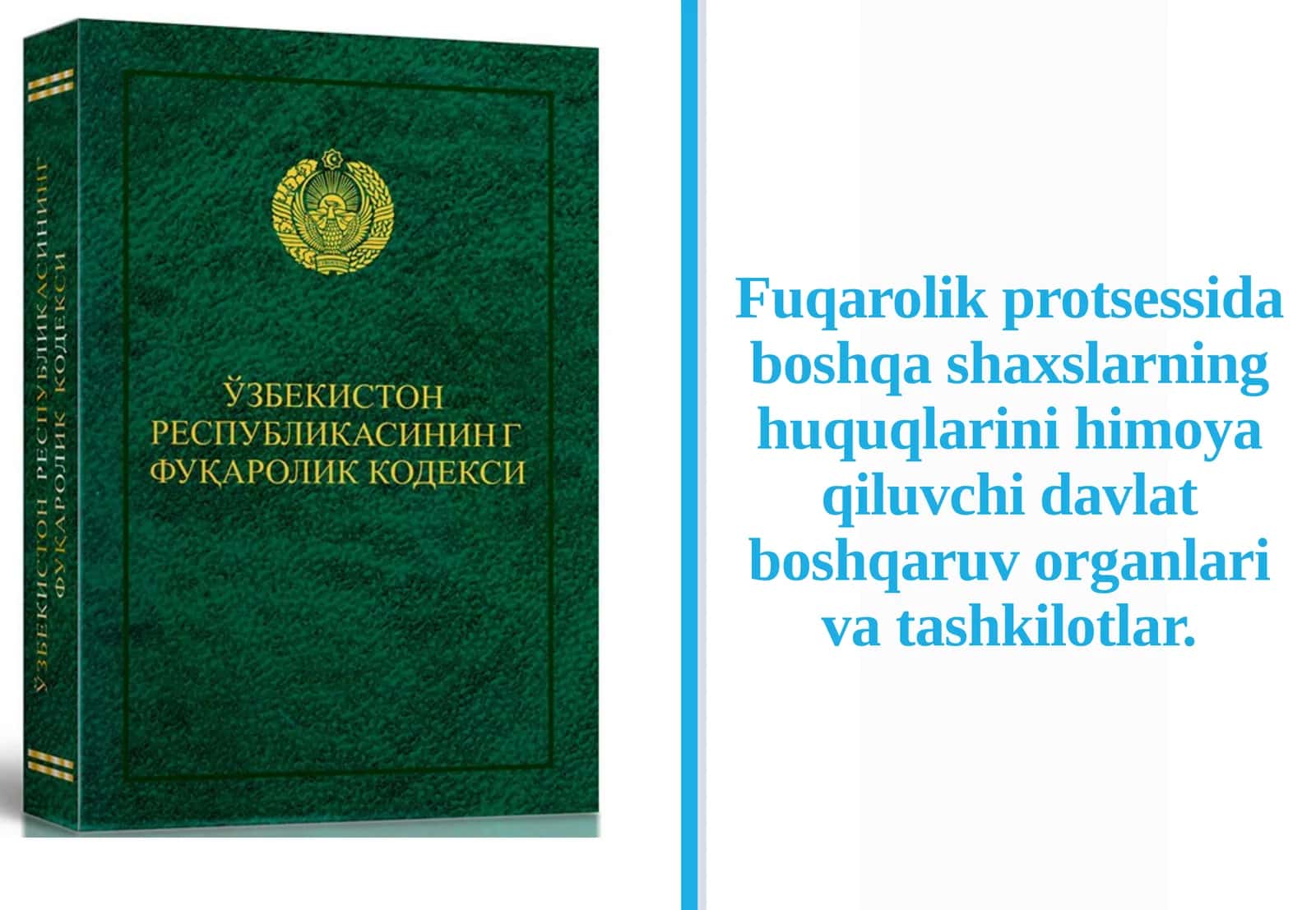 Fuqarolik protsessidagi boshqa shaxslarning huquqlarini himoya qiluvchi davlat boshqaruv organlari va tashkilotlar