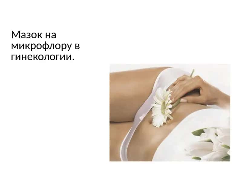 Мазок на микрофлору в гинекологии