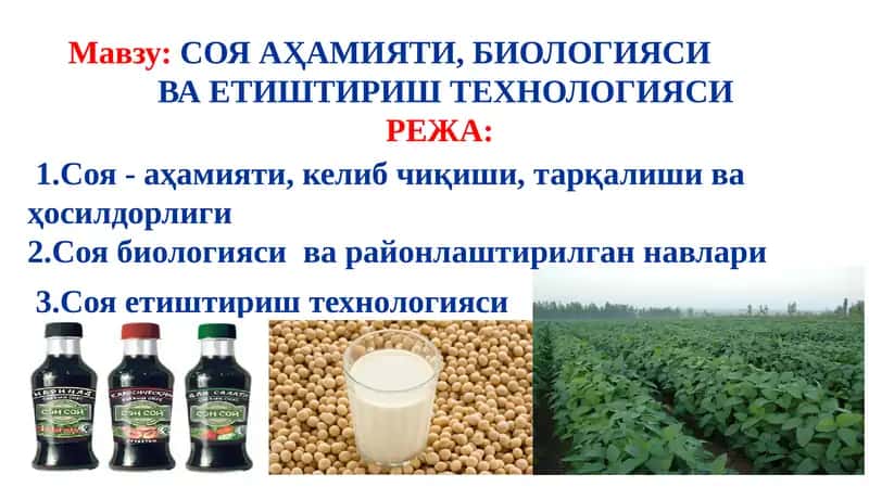 СОЯ АҲАМИЯТИ, БИОЛОГИЯСИВА ЕТИШТИРИШТЕХНОЛОГИЯСИ