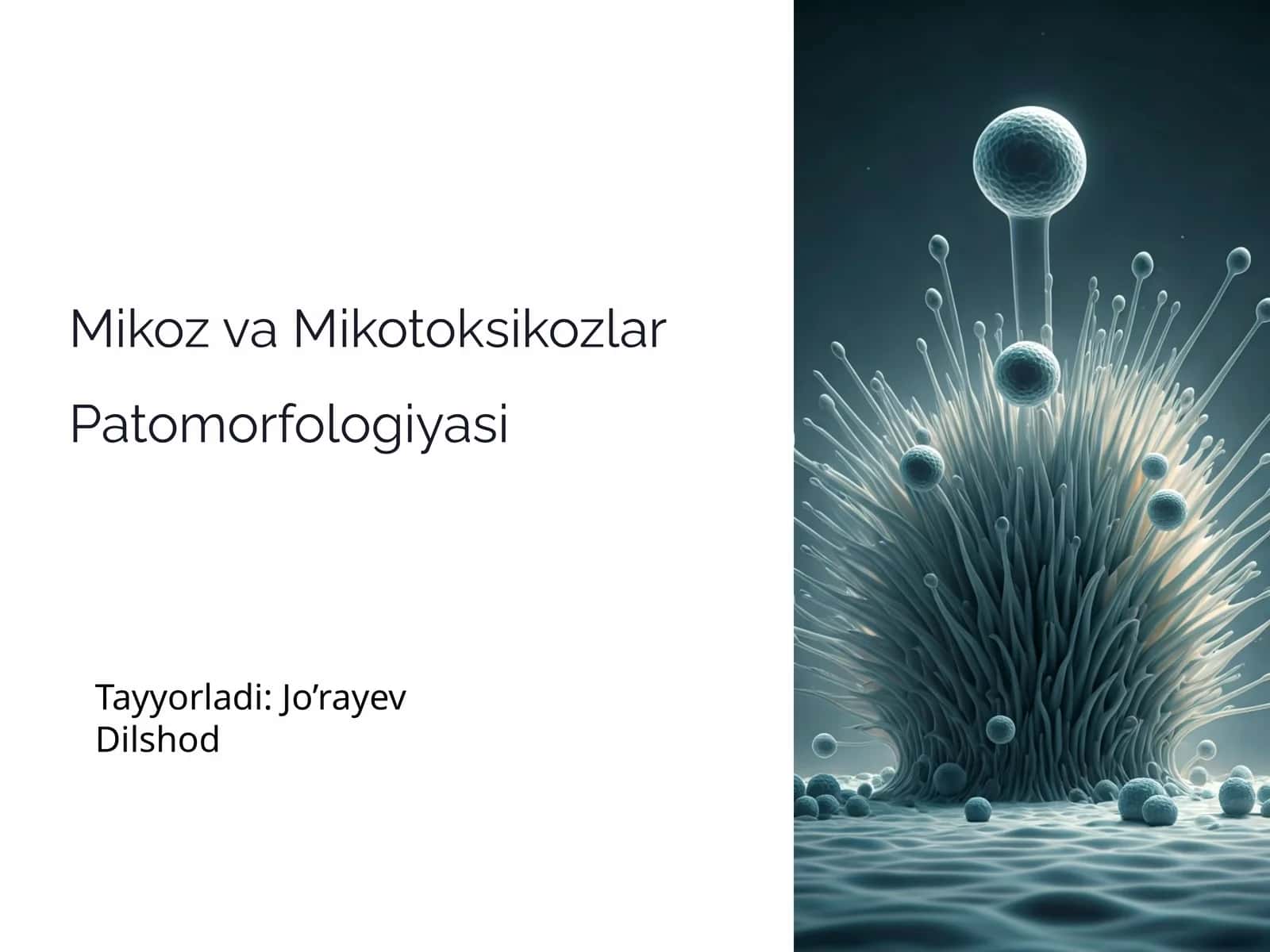 Mikoz va Mikotoksikozlar Patomorfologiyasi