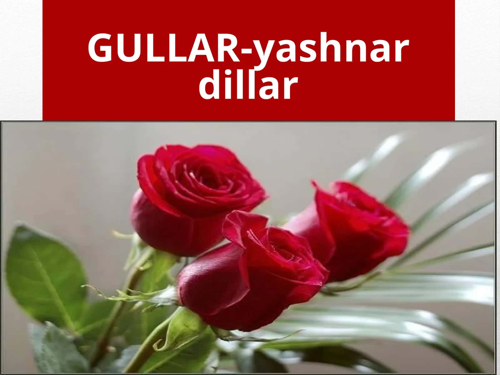 GULLAR-yashnardillar
