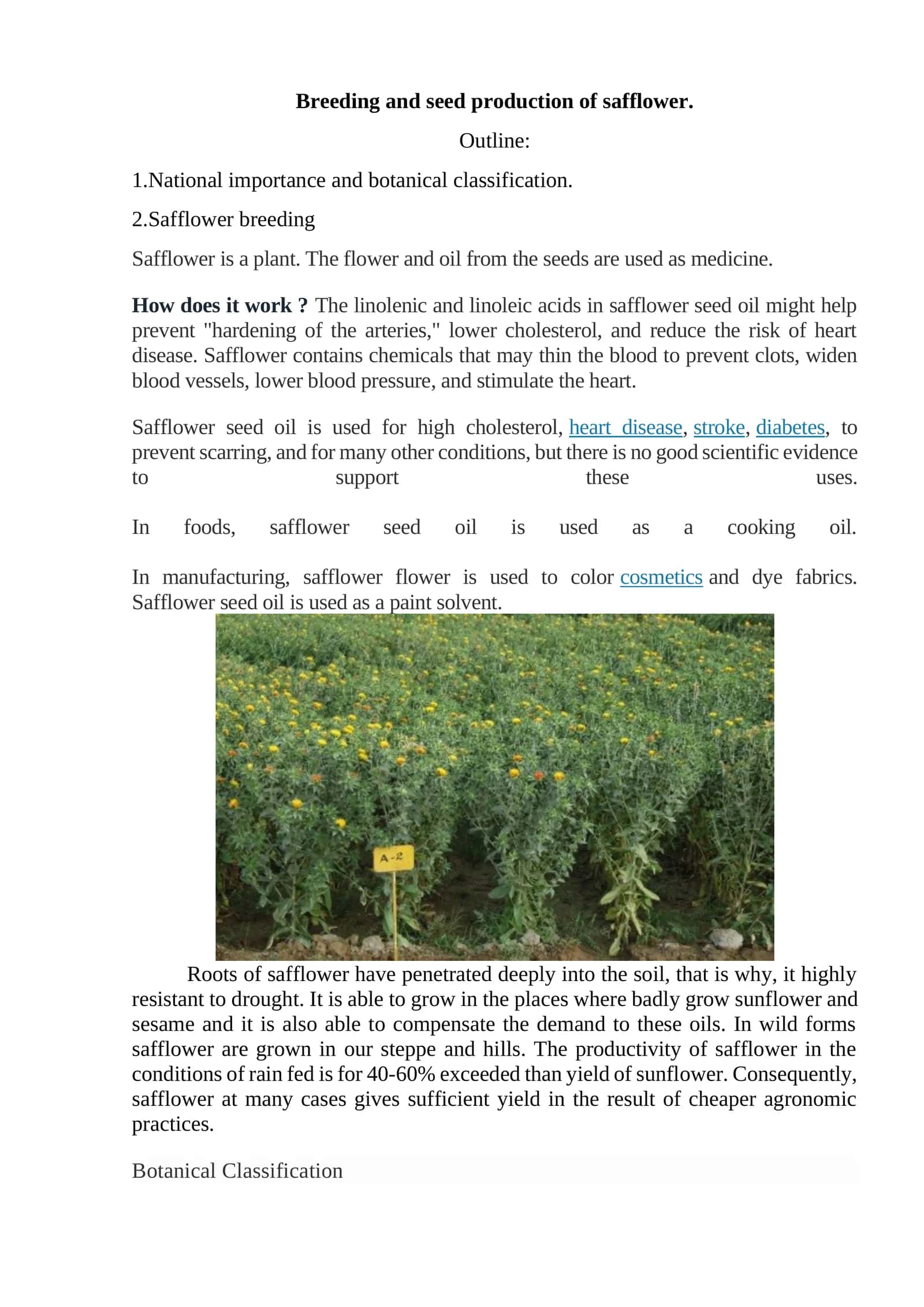 Breeding and seed production of safflower