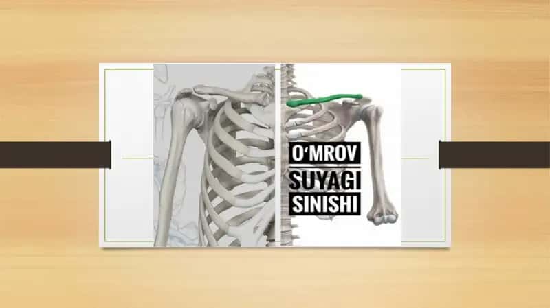 O'mrov chiqishlari va sinishlari