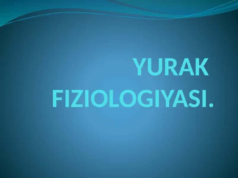 YURAK FIZIOLOGIYASI