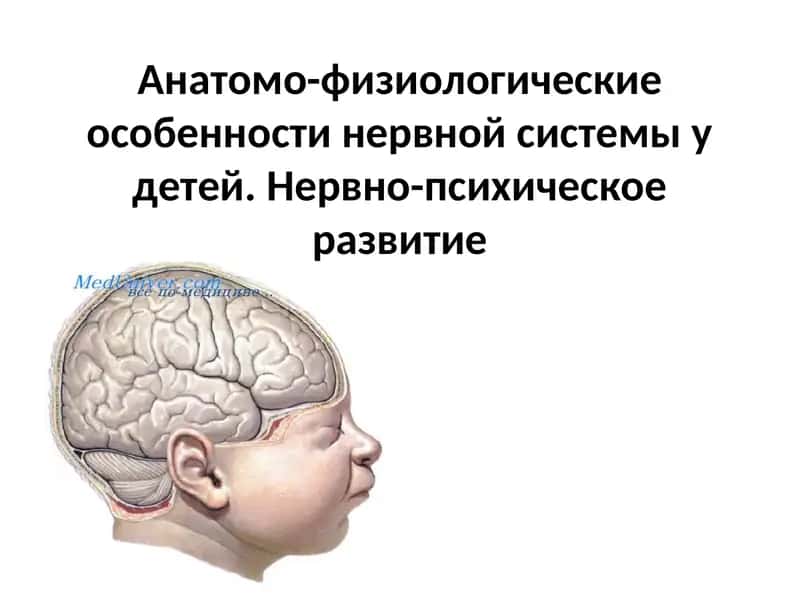 НЕРВНО-ПСИХИЧЕСКОЕ РАЗВИТИЕ РЕБЕНКА