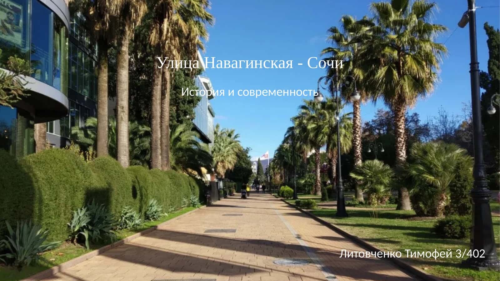 История и современность улицы Навагинская