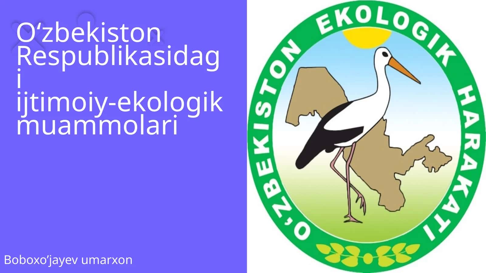 O‘zbekiston Respublikasidagi ijtimoiy‑ekologik muammolari