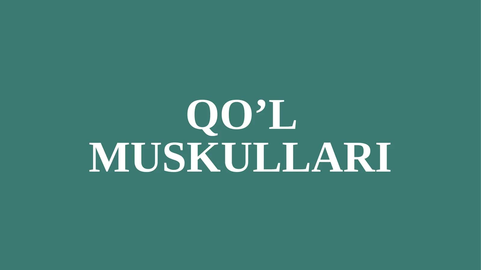 QO’L MUSKULLARI
