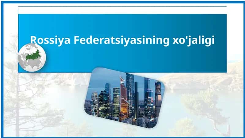 Rossiya Federatsiyasining xo'jaligi